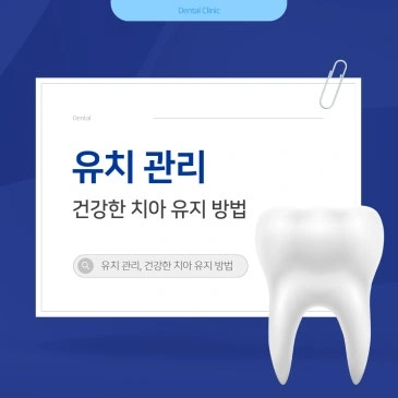 유치 관리 건강한 치아 유지 방법